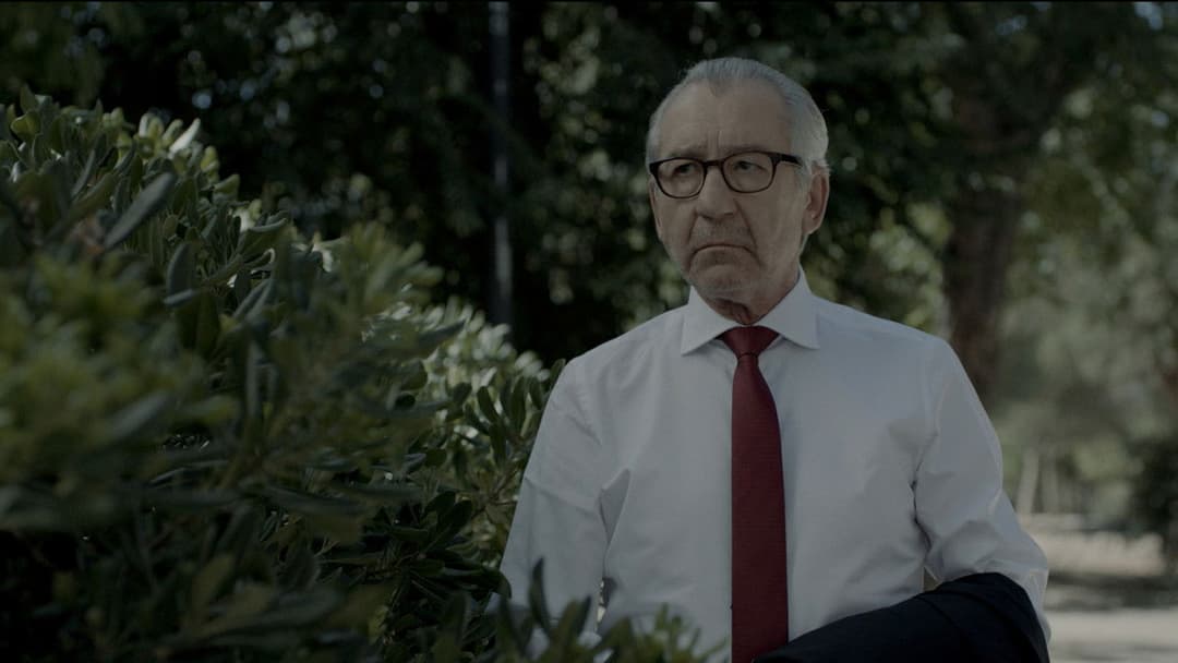 Чарівна дівчина backdrop 6