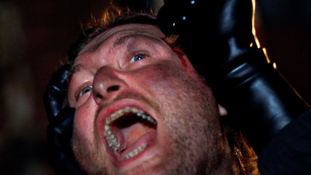 Sleepless backdrop 14