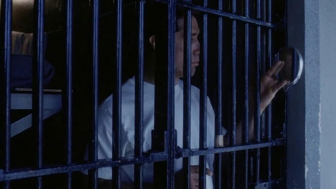 Das Gesetz der Gewalt backdrop 6