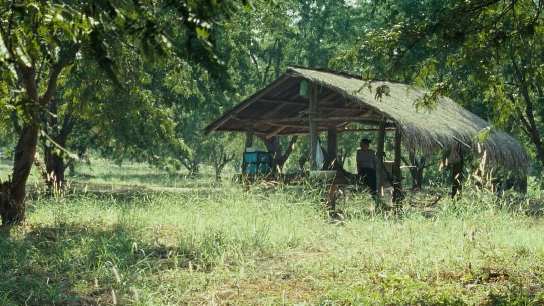 Дядечко Бунмі, який пам'ятає свої минулі життя backdrop 6