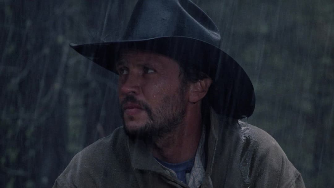 Міські піжони backdrop 7