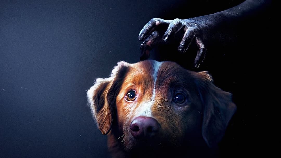 Good Boy - Trust His Instincts backdrop 10