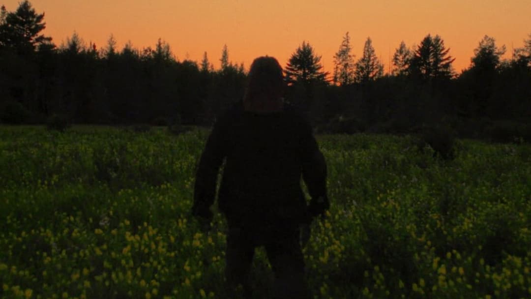 Природа насильства backdrop 13