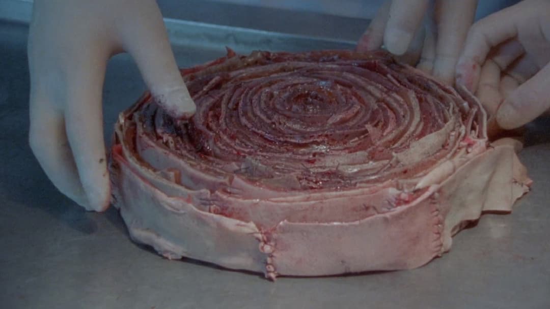 Suicide Circle backdrop 6