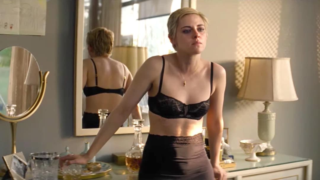 Проти всіх ворогів: Історія Джин Сіберґ backdrop 11