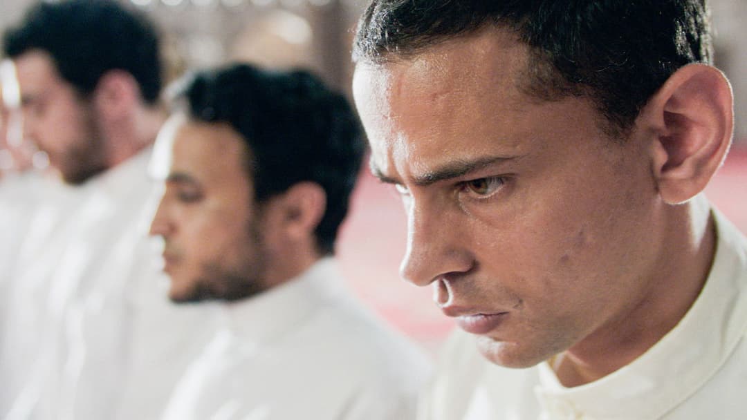 Die Kairo Verschwörung backdrop 2