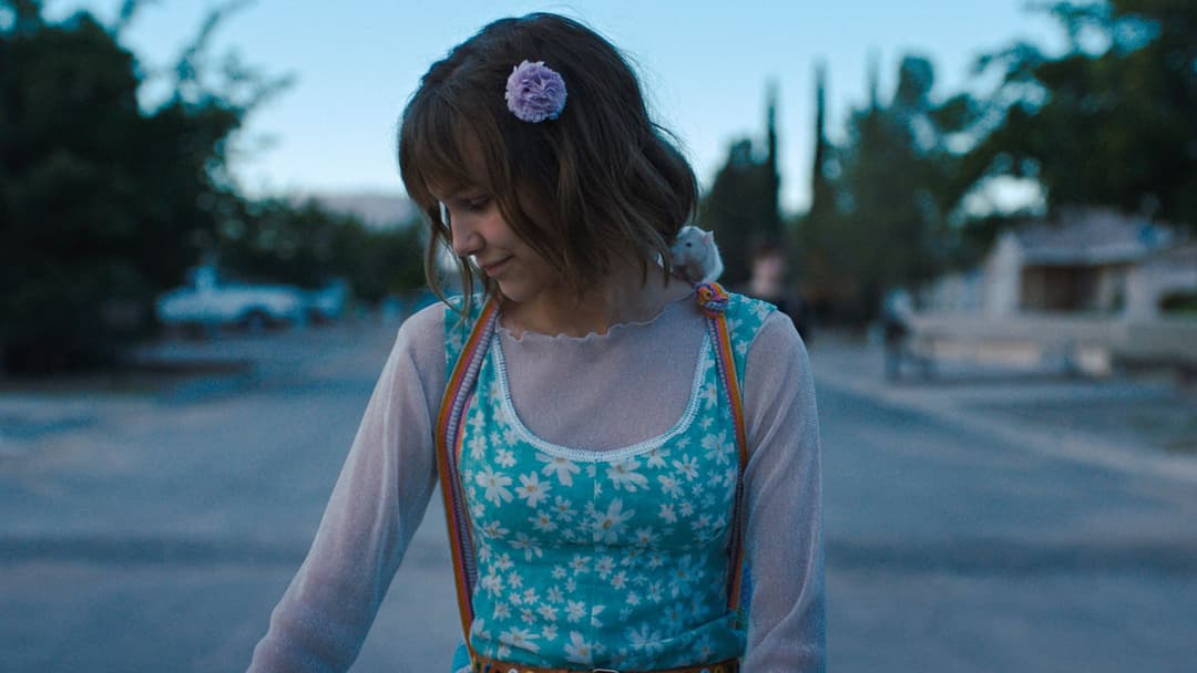 Stargirl: Anders ist völlig normal backdrop 7