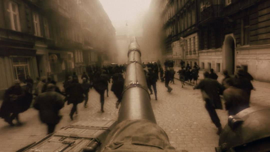 Авалон backdrop 5