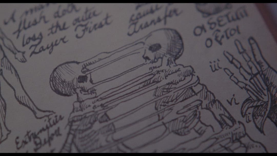 Evil Dead - Die Saat des Bösen backdrop 9