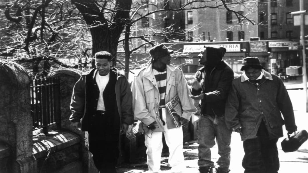 Авторитет backdrop 15