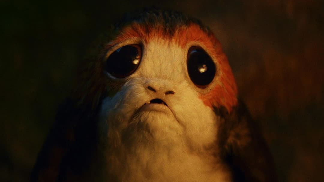 Зоряні війни: Епізод 8 — Останні джедаї backdrop 18