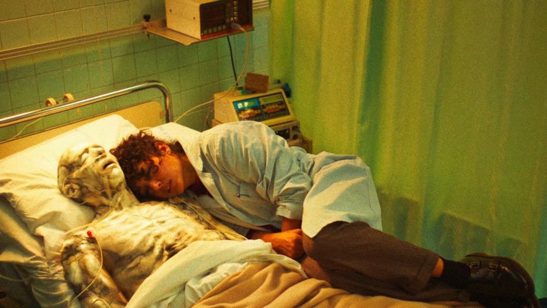 Альфа backdrop 6