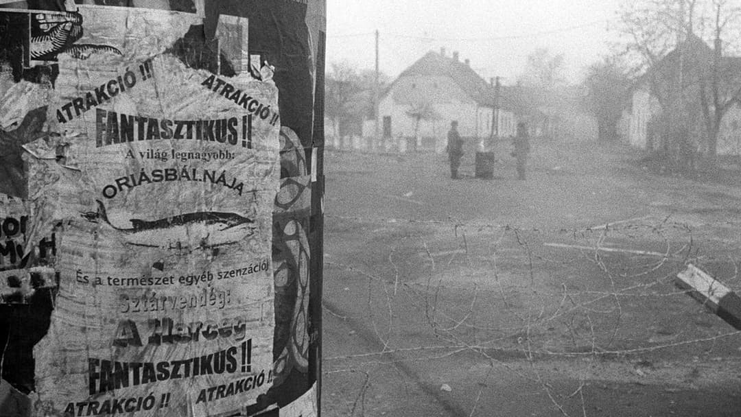 Die Werckmeisterschen Harmonien backdrop 15