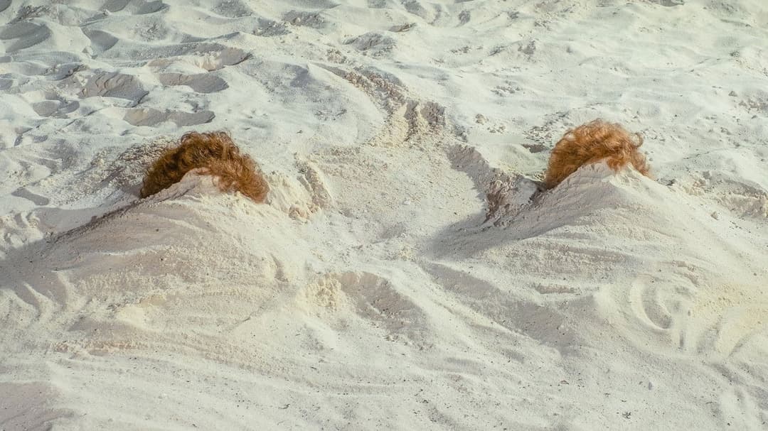 Барб і Стар їдуть у Віста Дель Мар backdrop 6