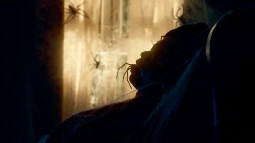 Spiders - Ihr Biss ist der Tod backdrop 18