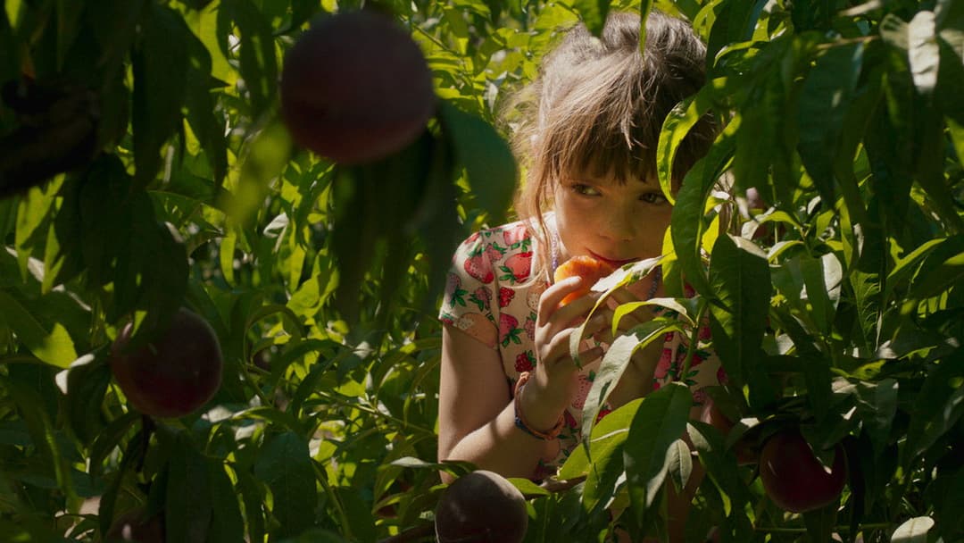 Alcarràs - Die letzte Ernte backdrop 10