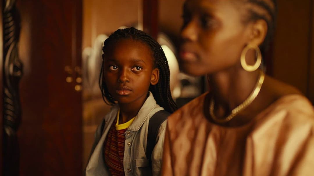 Saint Omer backdrop 7