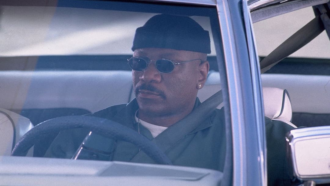 Out of Sight backdrop 18