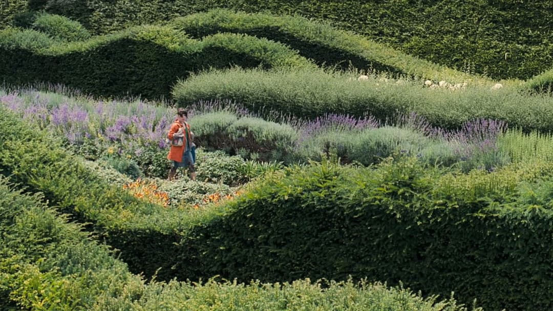 Безтурботна backdrop 3