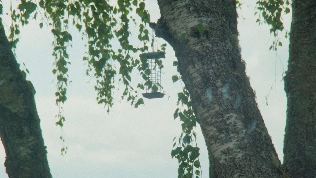 Du slår meg som en kul fyr backdrop 3