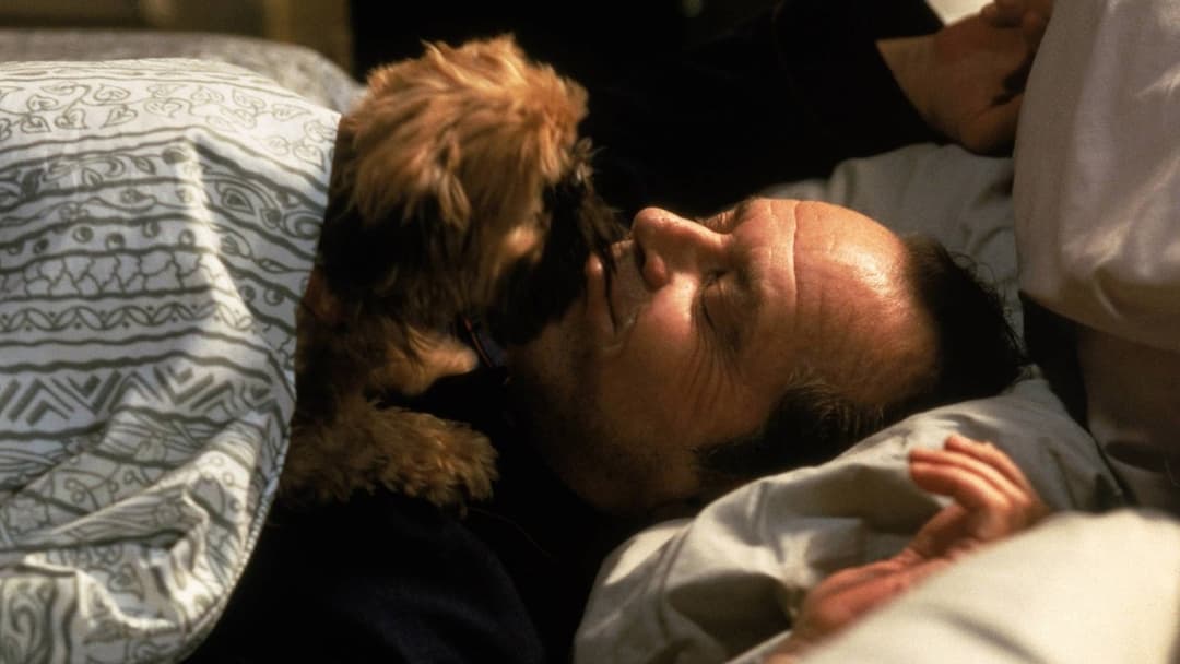 Краще не буває backdrop 17