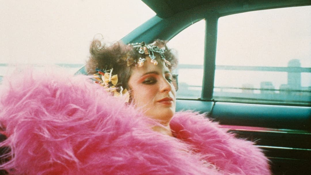 All the Beauty and the Bloodshed backdrop 4