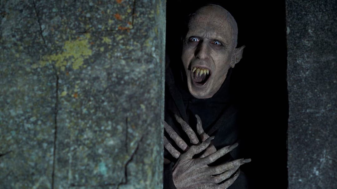 Чим ми займаємося в тінях backdrop 11