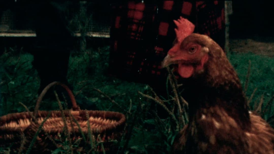 Cantique des Cantiques backdrop 12