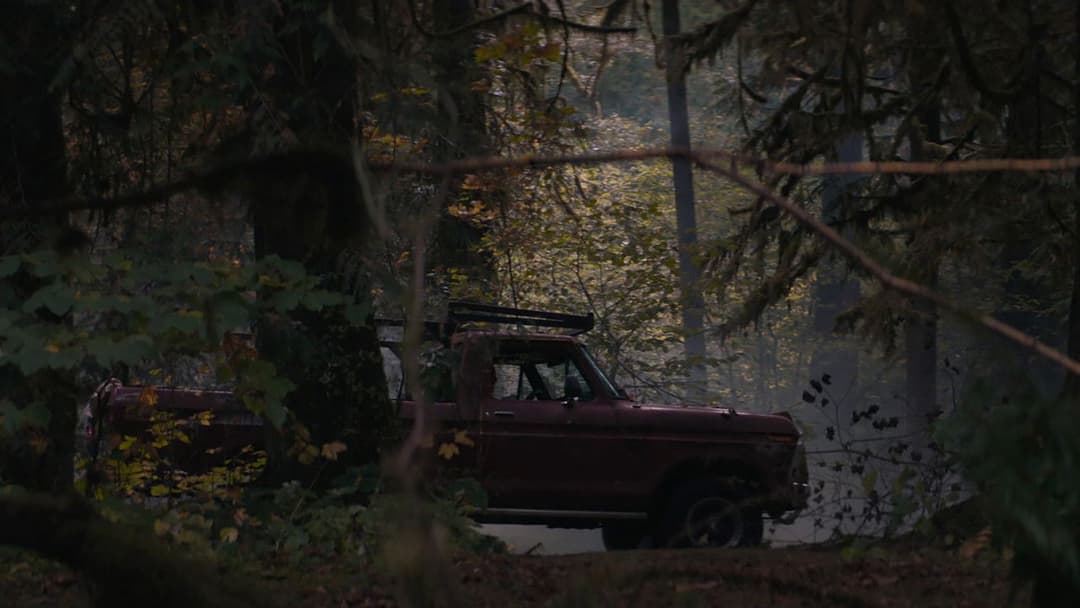 Свиня backdrop 10