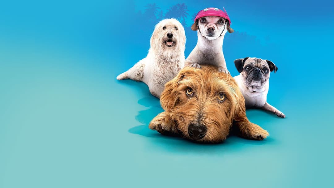 Dog Days backdrop 11