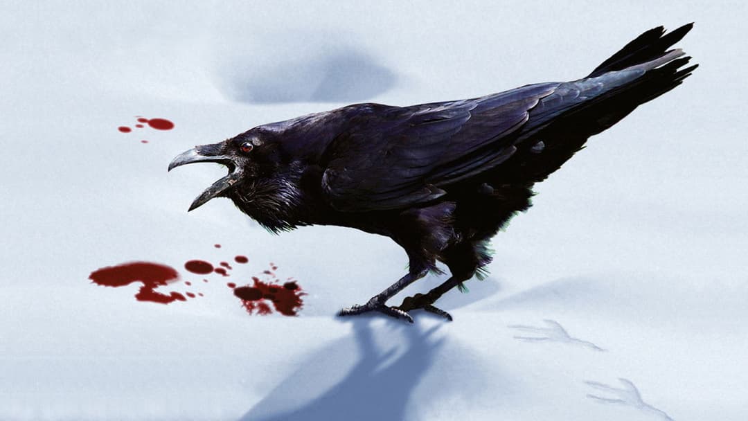 Простий план backdrop 6