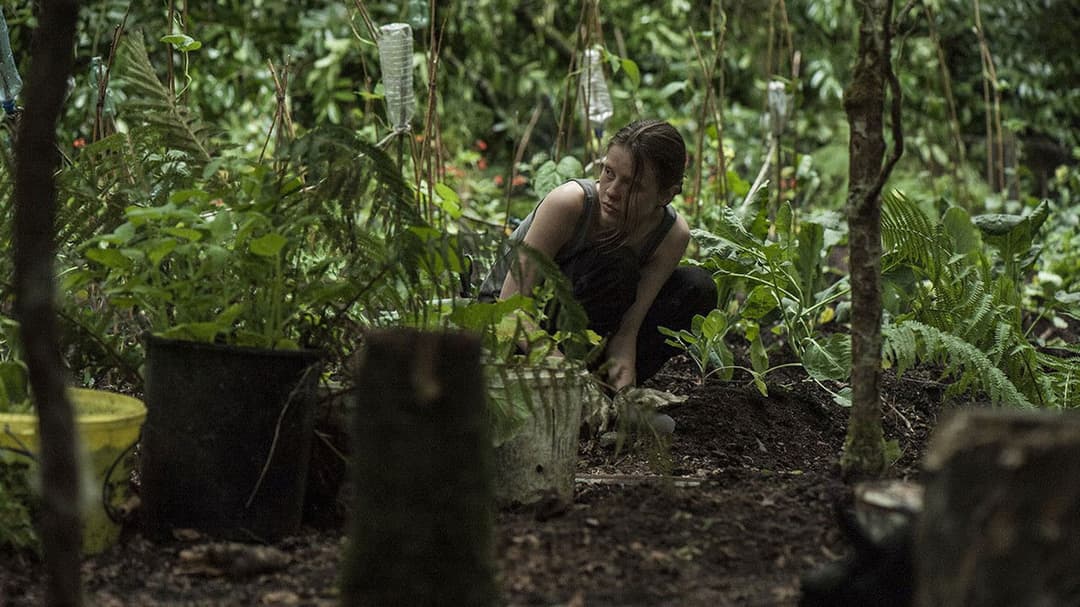 The Survivalist backdrop 14