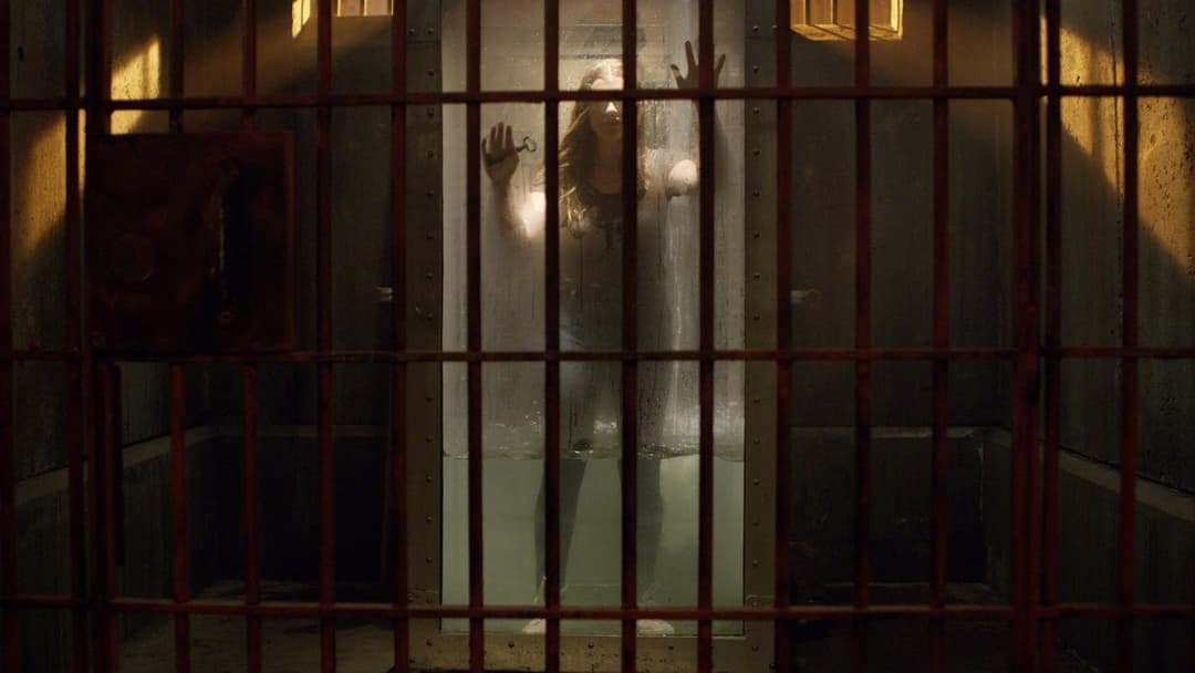 Follow Me backdrop 2