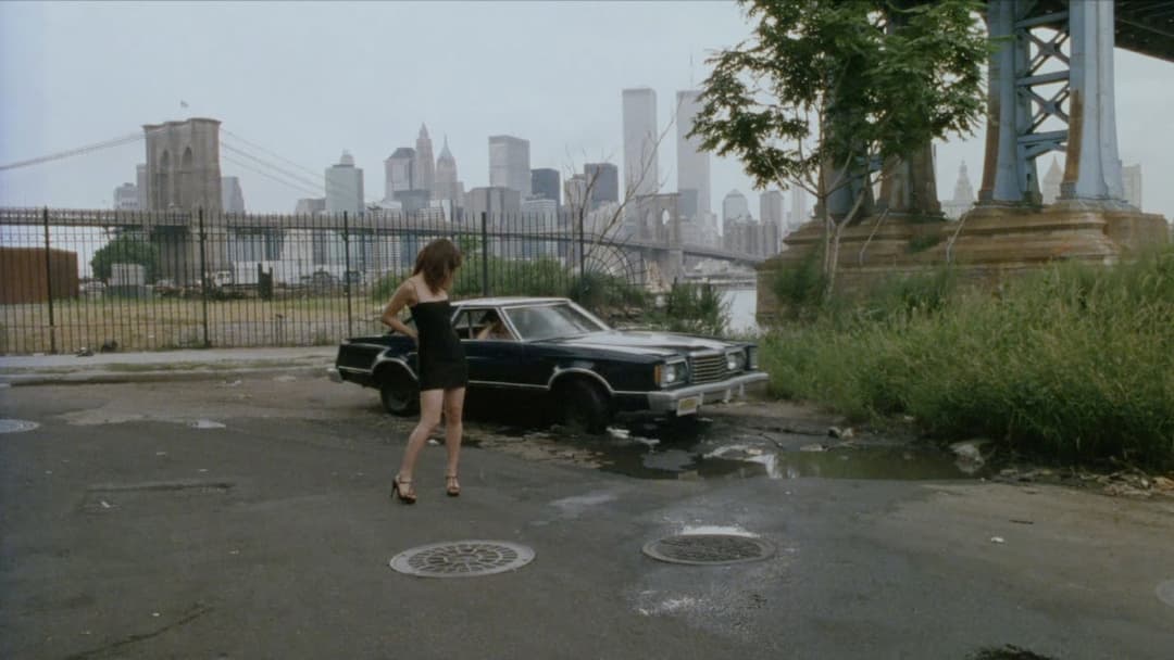 Terror Firmer backdrop 3