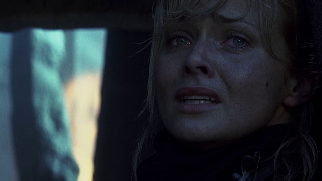 Die Herrschaft des Feuers backdrop 16