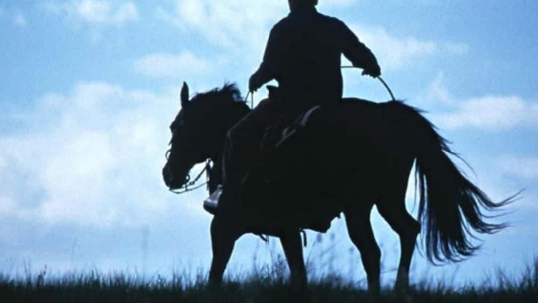 Der Pferdeflüsterer backdrop 4