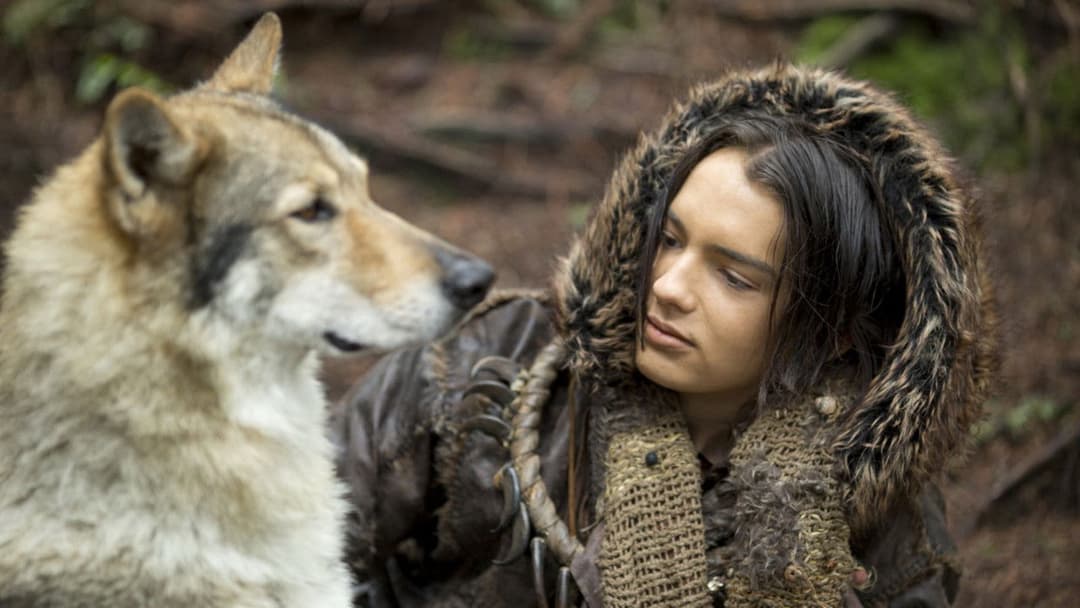 Альфа backdrop 7