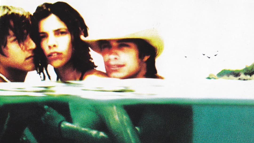 Y Tu Mama Tambien - Lust for Life backdrop 8