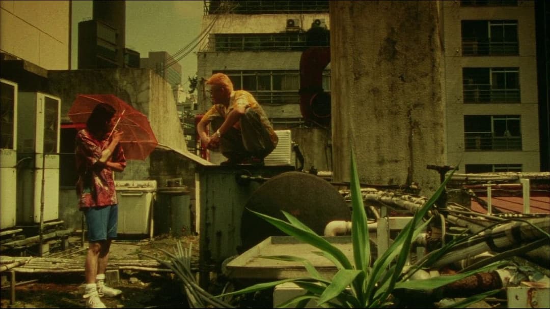 DEAD OR ALIVE 2 逃亡者 backdrop 6