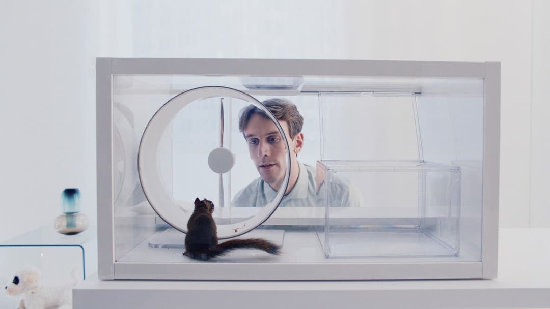 The Squirrel backdrop 2