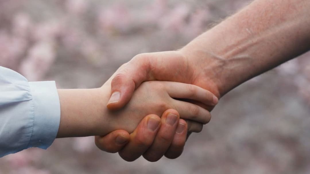 Rental Family backdrop 20