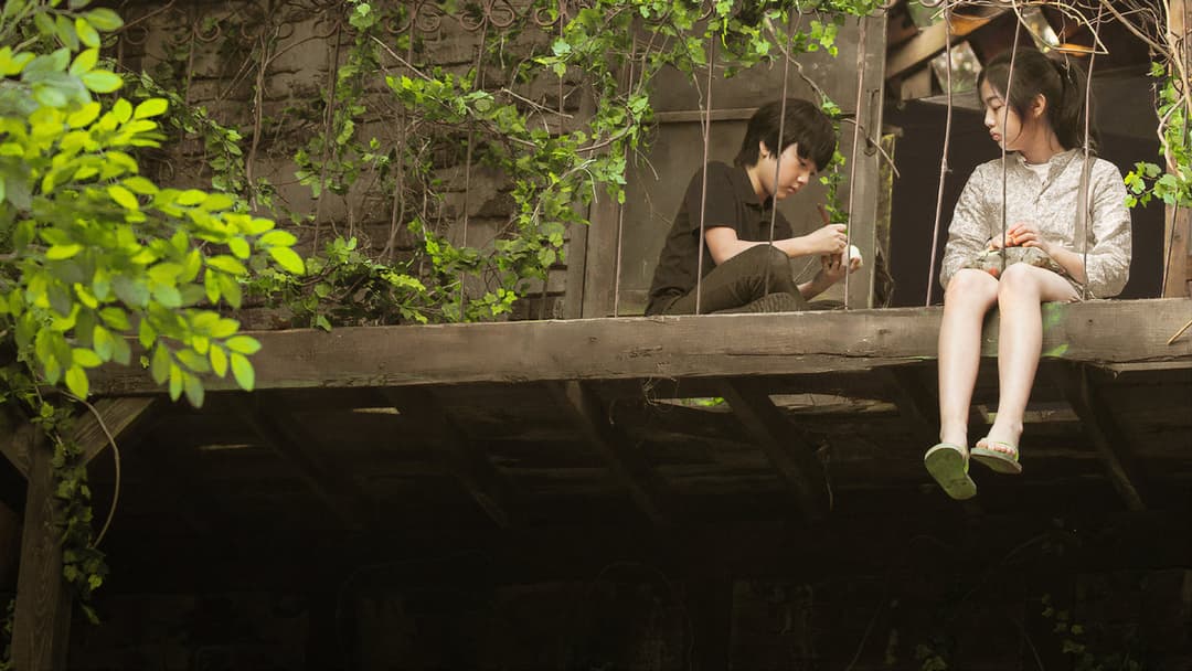 Зниклий час: Хлопчик, який повернувся backdrop 6