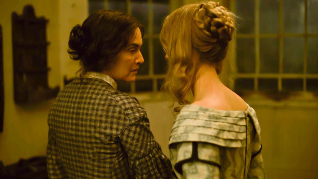 Ammonite backdrop 19