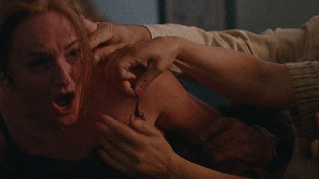 Арман backdrop 9