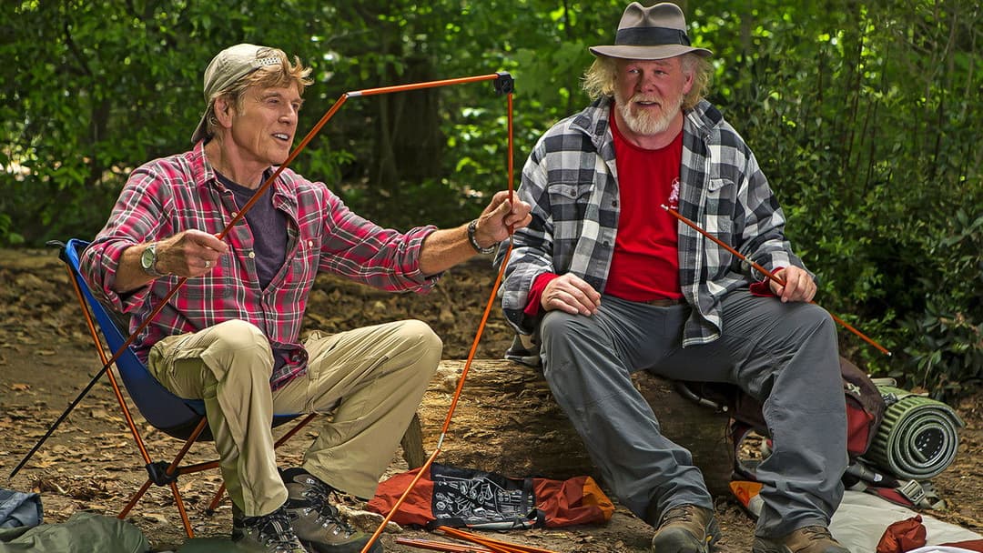 Picknick mit Bären backdrop 2