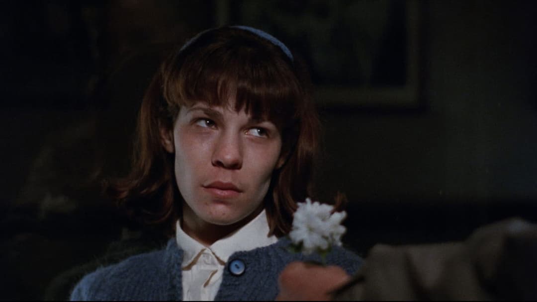 Dogfight backdrop 17