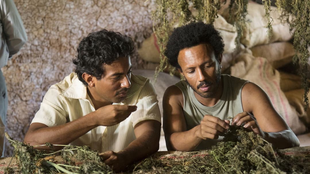 Pájaros de verano backdrop 20