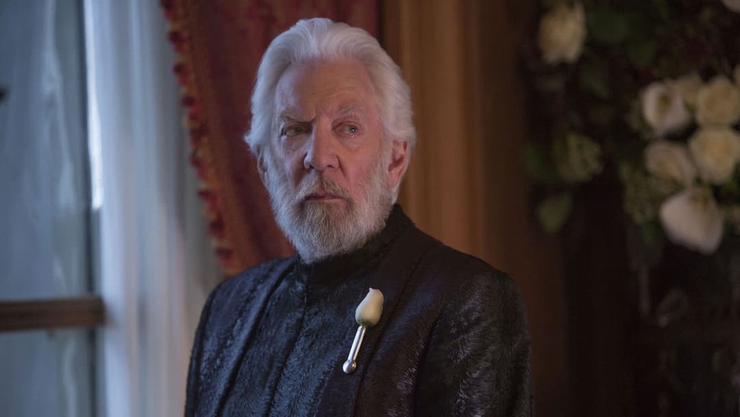 Die Tribute von Panem - Mockingjay Teil 2 backdrop 5