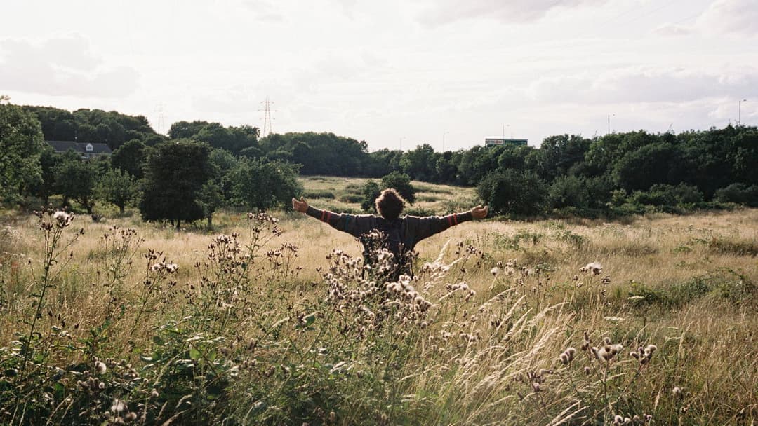 Птах backdrop 15