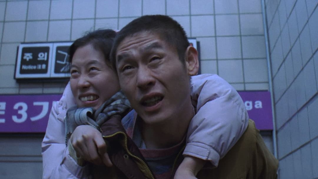 오아시스 backdrop 6